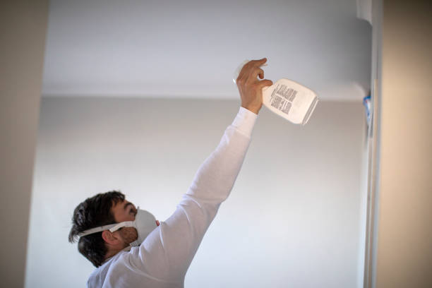 Best Attic Mold Removal  in Latrobe, PA