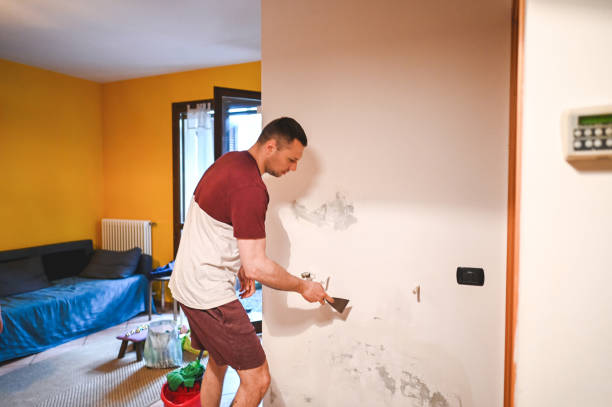 Office Mold Removal Services in Latrobe, PA